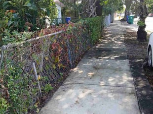 Bush Trimming by John Hernandez for Tonya J. in Miami, FL