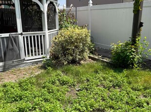 Bush Trimming by Carl Roberts for Camila R. in Secaucus, NJ