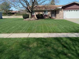 Pamela H.'s Lawn Care service result