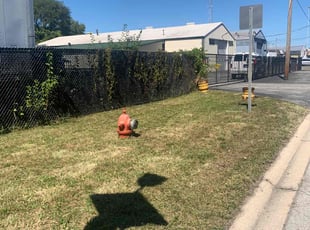 Levi R.'s Lawn Maintenance service result
