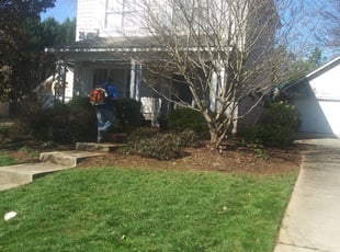 Leaf Removal by Adams Paiz for Elizabeth W. in Huntersville, NC
