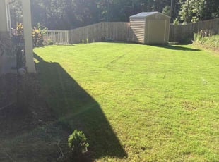 David M.'s Lawn Care service result