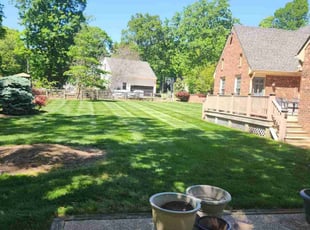 Rochelle F.'s Lawn Service service result