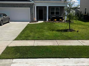 Michelle D.'s Lawn Service service result