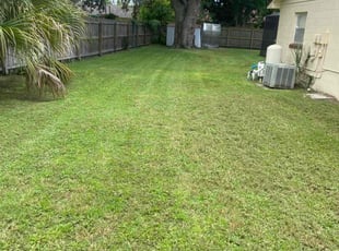Yolanda M.'s Lawn Mowing service result