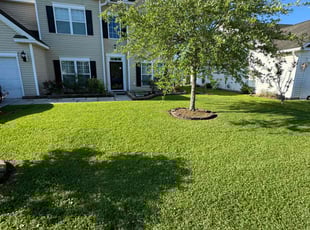 Ashesh C.'s Lawn Care service result