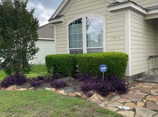 Weeding by Abraham Flores for alisa f. in Richmond, TX