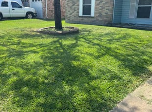 Robert W.'s Lawn Care service result