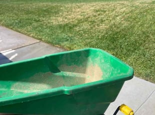 Tanika A.'s Lawn Service service result