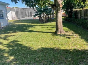 Tina T.'s Lawn Service service result