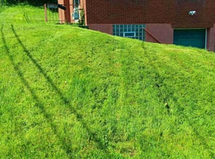 Cleanups by Joshua Bauer for Joe L. in Pittsburgh, PA