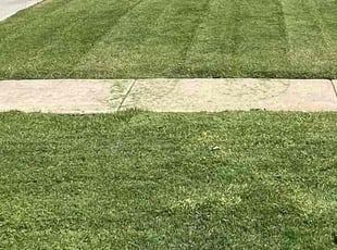 Don R.'s Lawn Service service result