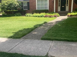 Mike P.'s Lawn Mowing service result