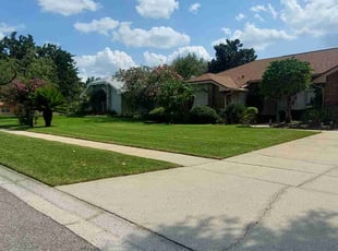 Terri A.'s Lawn Mowing service result