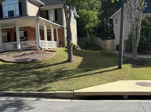 Missy B.'s Lawn Mowing service result