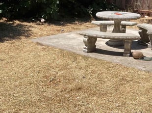 Cleanups by Alex Rodriguez for William S. in Fresno, CA