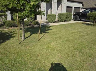 Patricia H.'s Lawn Service service result