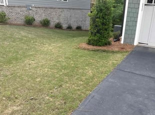 Weeding by Geronimo Giusto for Kanishk A. in Dawsonville, GA