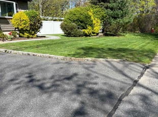 Lorrie L.'s Lawn Service service result