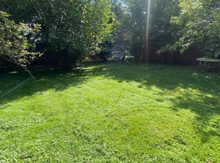 Jane B.'s Lawn Maintenance service result