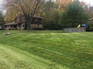 Nathaniel B.'s Lawn Maintenance service result