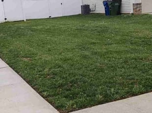 Melanie A.'s Lawn Care service result