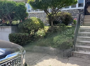 Bush Trimming by John DeAngelo for Angie S. in Yeadon, PA