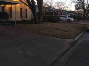 Leaf Removal by Clinton Lee for Regina M. in Richland Hills, TX