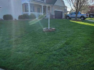 Suzanne M.'s Lawn Service service result