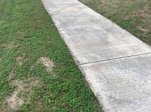 Weeding by Bradley Matthiesen for Lorraine A. in Boerne, TX