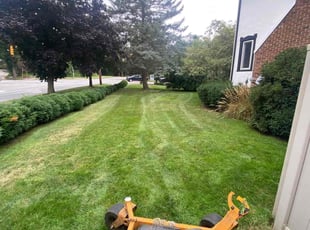 Rob D.'s Grass Cutting service result