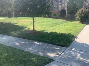Zhirui D.'s Lawn Care service result