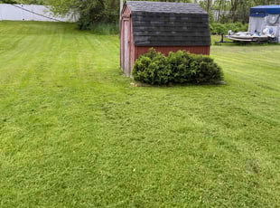 Selena P.'s Lawn Mowing Service service result