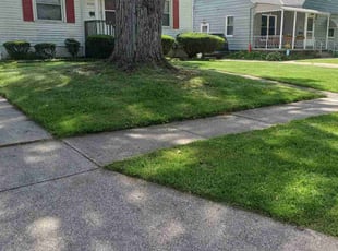 Anita T.'s Lawn Care service result