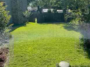 Sasha H.'s Lawn Mowing service result