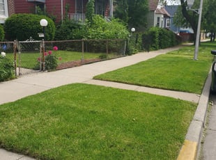 Demaris D.'s Yard Cutting service result