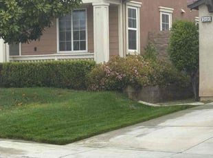 Roy S.'s Lawn Care service result