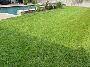 Rick C.'s Lawn Mowing service result