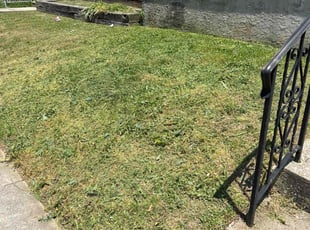 Cleanups by Michael Snock for Josalyn C. in Eddystone, PA