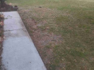 Weeding by Michael Lagos for Matthew N. in Robertsdale, AL