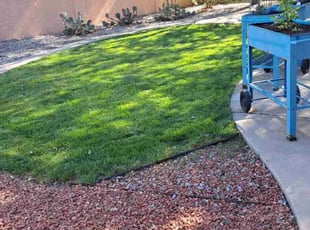 Victoria S.'s Lawn Mowing service result
