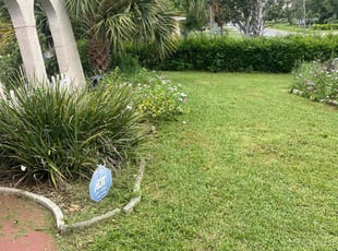 Letitia R.'s Lawn Maintenance service result