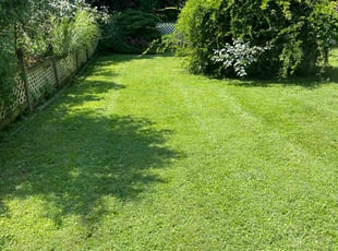 Michele M.'s Lawn Care service result