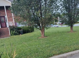 Jennifer N.'s Grass Cutting service result