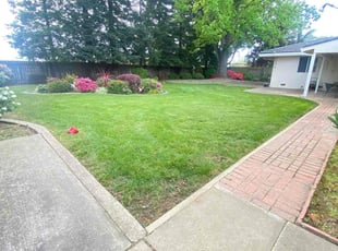 C B.'s Lawn Mowing service result