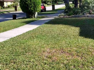 Bush Trimming by Sharon White for Sanders P. in Jacksonville, FL