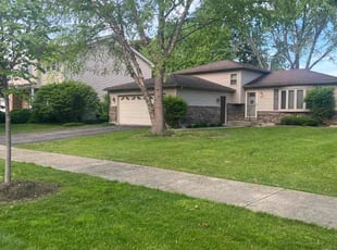 Sambra M.'s Yard Cutting service result