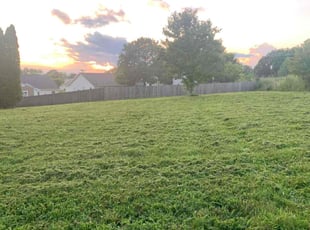 Randy S.'s Lawn Mowing service result