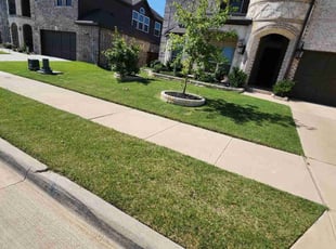 Olga S.'s Yard Cutting service result