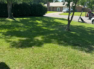 Diana N.'s Lawn Maintenance service result